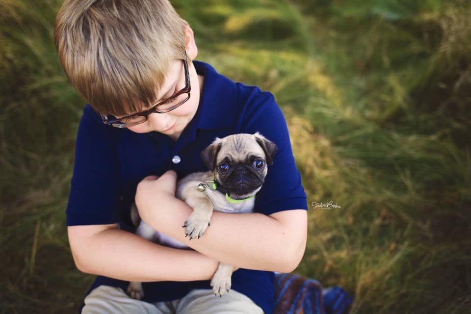 A boy's best friend!